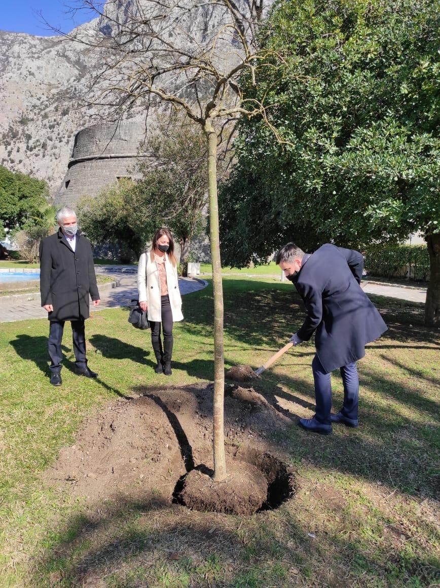 BAGREM U ZNAK SJEĆANJA NA BALAŠEVIĆA